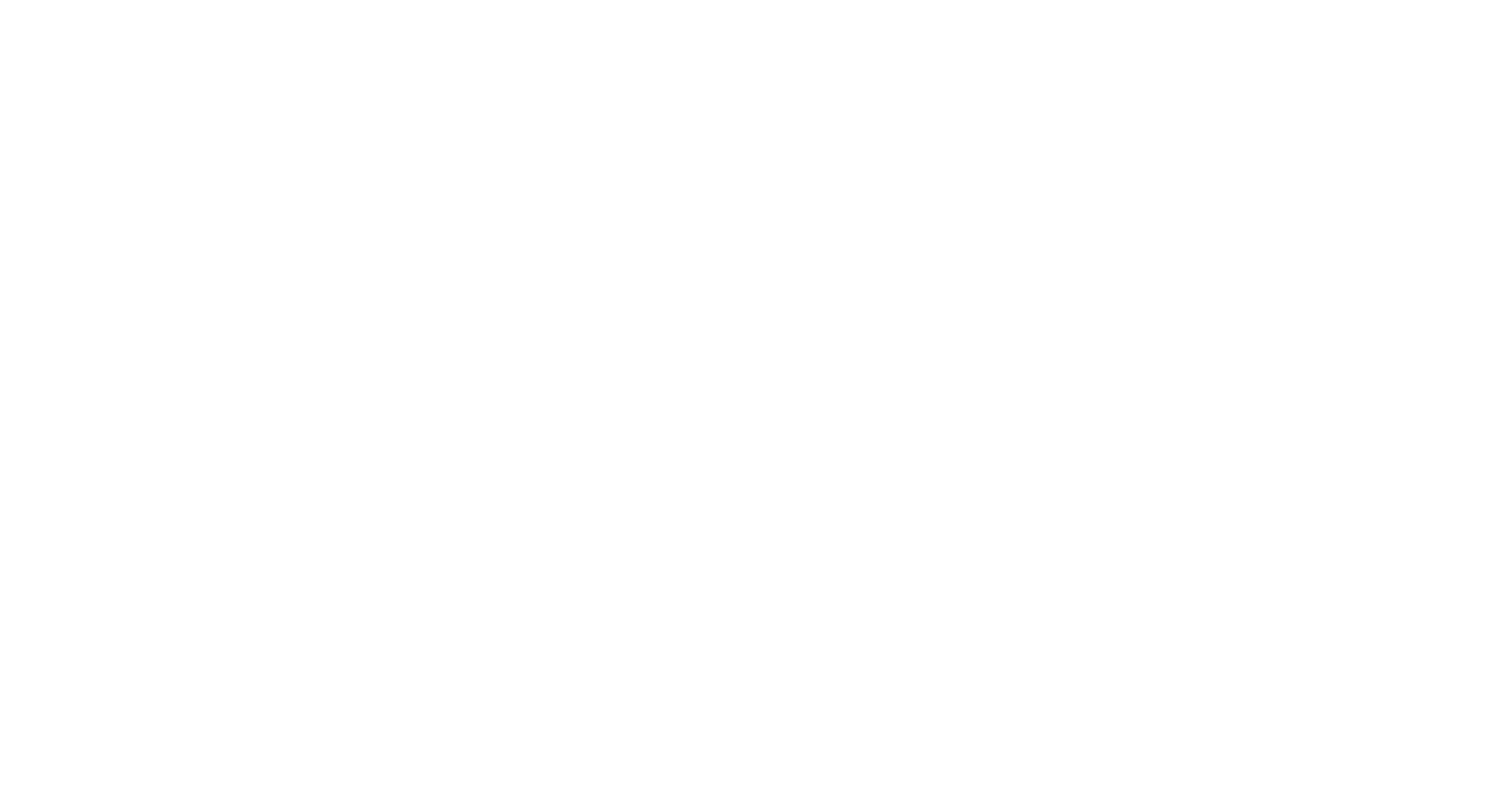 THE VINES