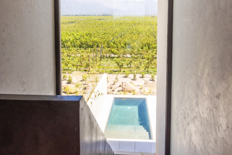 The Vines Resort and Spa - Villa Andes Condor (7)